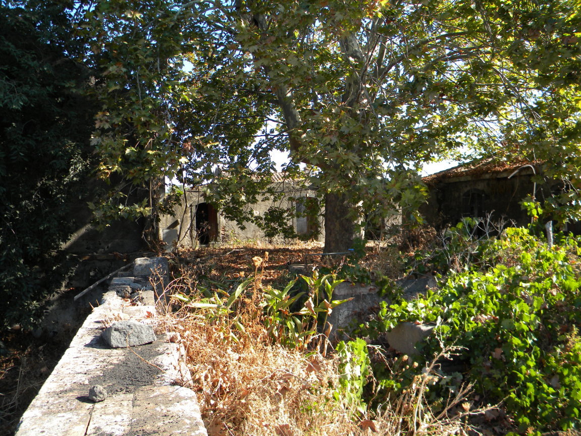 DSCN8179 .JPG